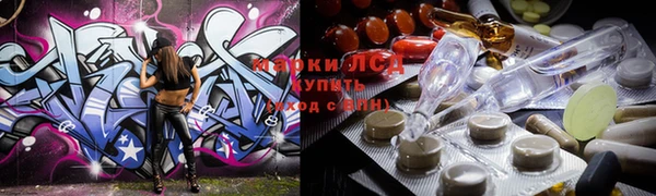 шишки Снежногорск