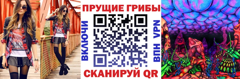Псилоцибиновые грибы Psilocybe  блэк спрут сайт  Брянск 